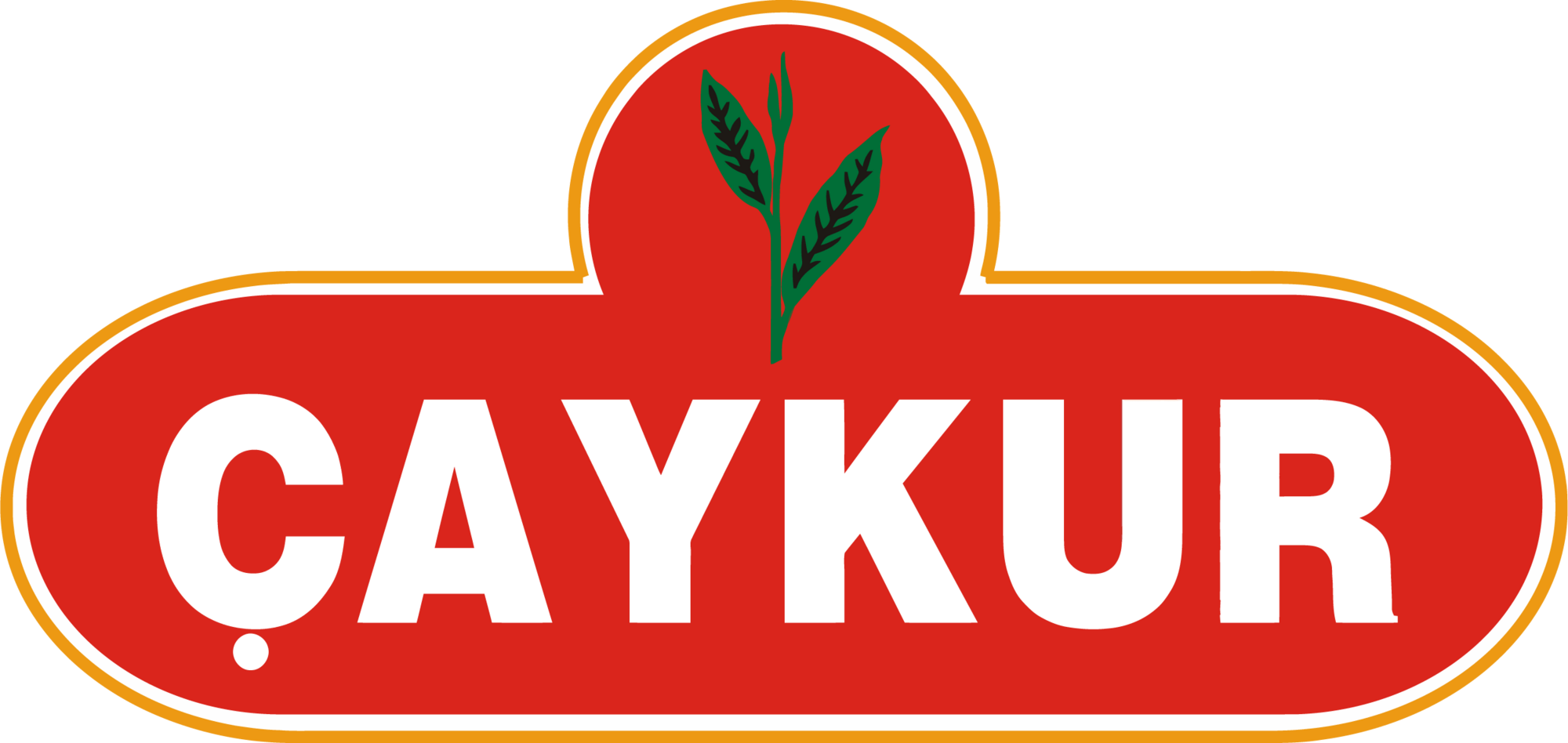 Çaykur