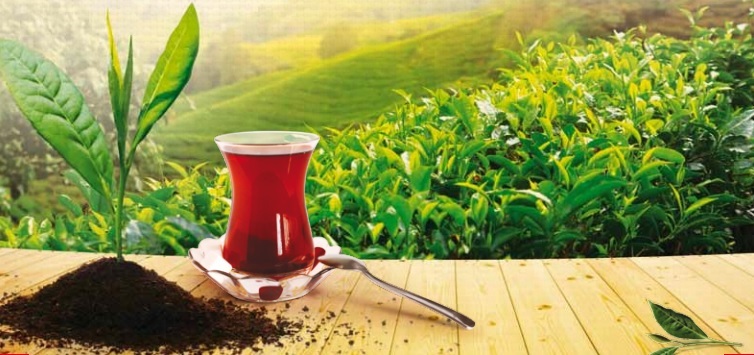 Çay